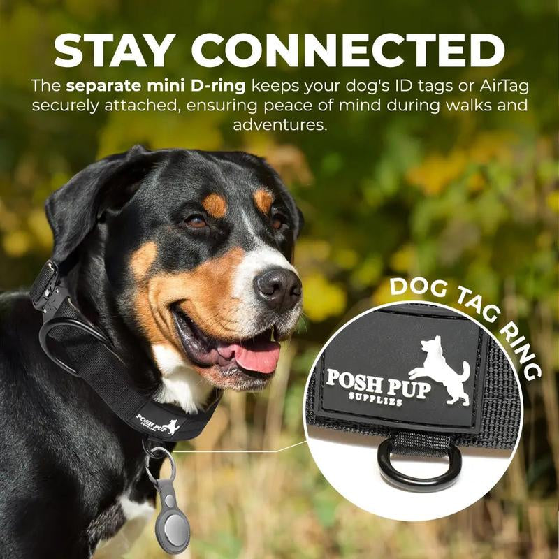 Stylish & Durable Dog Collars | Adjustable, Comfortable, and Affordable – Posh Pup Supplies