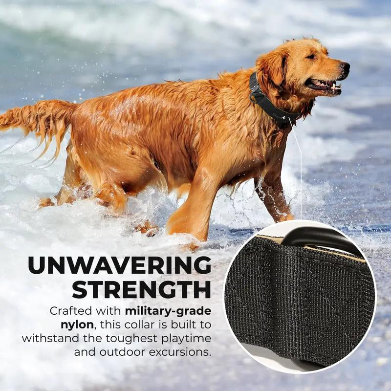 Stylish & Durable Dog Collars | Adjustable, Comfortable, and Affordable – Posh Pup Supplies